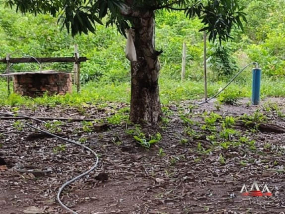 Imagem Fazenda à Venda, 6.200.000 m² em Centro - Acorizal Imagem Fazenda à Venda, 6.200.000 m² em Centro - Acorizal