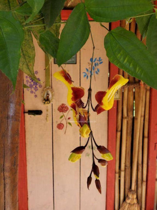 Imagem Casa de Condomínio com 2 Quartos à Venda, 122 m² em Casa Branca - Brumadinho Imagem Casa de Condomínio com 2 Quartos à Venda, 122 m² em Casa Branca - Brumadinho