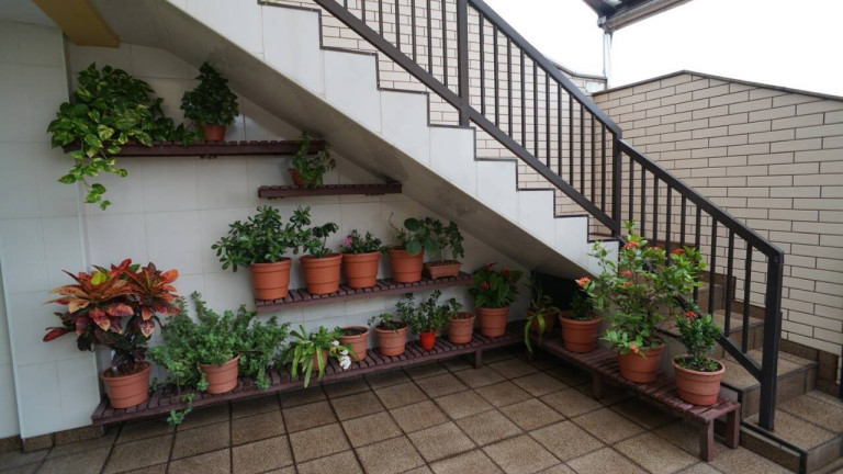 Imagem Casa com 3 Quartos à Venda, 250 m² em Jardim Stella - Santo André