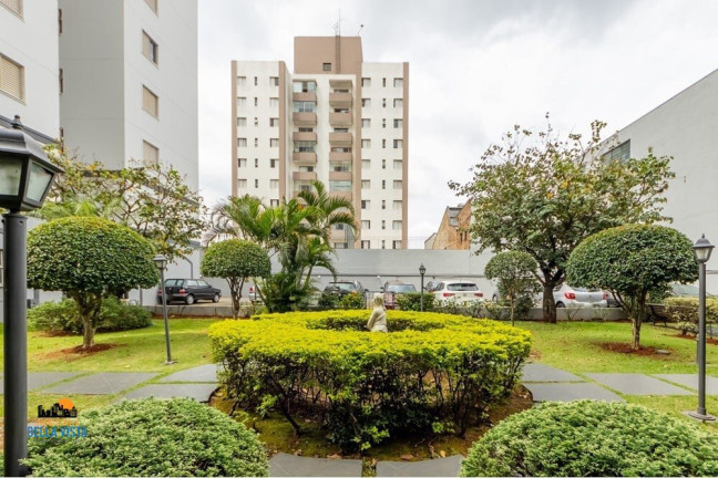 Imagem Apartamento com 3 Quartos à Venda, em Vila Santa Catarina - São Paulo Imagem Apartamento com 3 Quartos à Venda, em Vila Santa Catarina - São Paulo