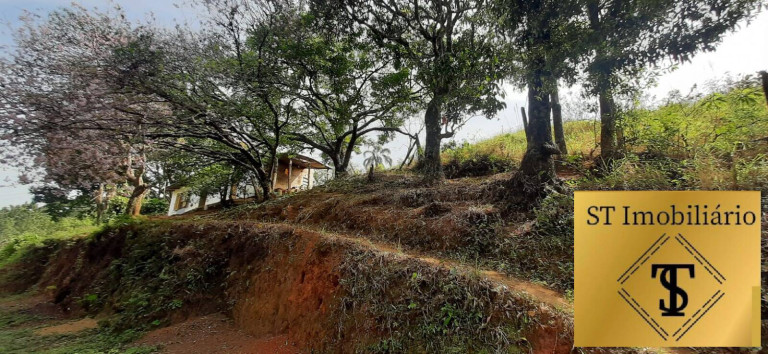 Imagem Chácara com 3 Quartos à Venda, 72.000 m² em Estância Santa Maria Do Portão - Atibaia Imagem Chácara com 3 Quartos à Venda, 72.000 m² em Estância Santa Maria Do Portão - Atibaia