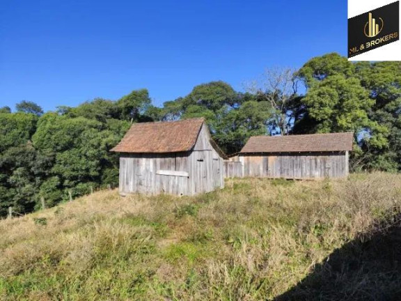 Imagem Imóvel com 2 Quartos à Venda, 20.000 m² em Zona Rural - Balsa Nova