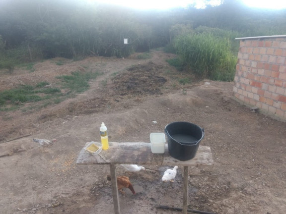 Imagem Imóvel à Venda, em Piedade Dos Gerais - Piedade Dos Gerais Imagem Imóvel à Venda, em Piedade Dos Gerais - Piedade Dos Gerais