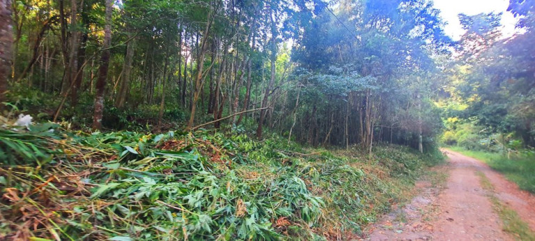 Imagem Imóvel à Venda, 282 m² em Loteamento Bosque Dos Palmares - Atibaia Imagem Imóvel à Venda, 282 m² em Loteamento Bosque Dos Palmares - Atibaia
