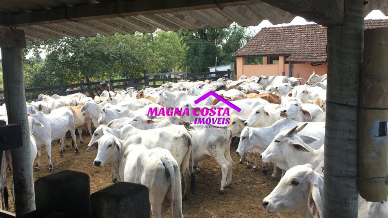 Imagem Fazenda à Venda, 2 m² em Banqueiros - Araruama Imagem Fazenda à Venda, 2 m² em Banqueiros - Araruama