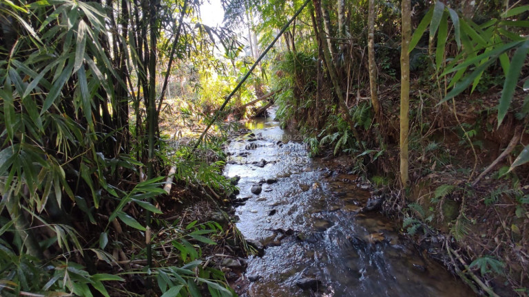 Imagem Imóvel à Venda, em Ribeirão Da Velha - Nova Trento Imagem Imóvel à Venda, em Ribeirão Da Velha - Nova Trento