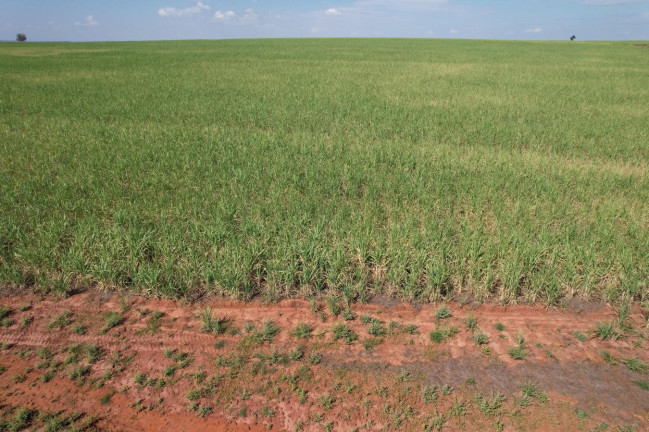 Imagem Fazenda à Venda, 64 m² em Zona Rural - Bariri Imagem Fazenda à Venda, 64 m² em Zona Rural - Bariri