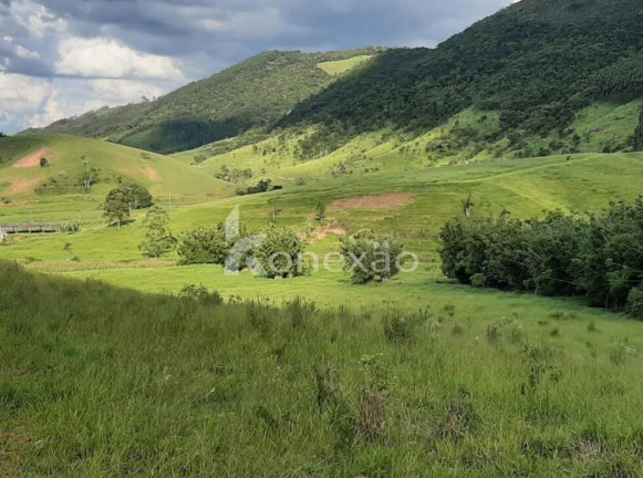 Fazenda à Venda, 400 m² em Jardim Prado - Santa Branca