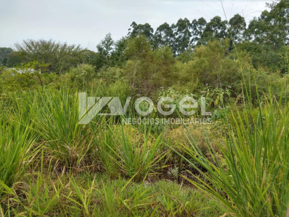 Imagem Imóvel à Venda, 321 m² em Jardim Panorã¢mico - Estancia Velha Imagem Imóvel à Venda, 321 m² em Jardim Panorã¢mico - Estancia Velha