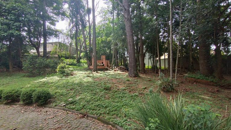 Imagem Terreno à Venda, 666 m² em Ahú - Curitiba Imagem Terreno à Venda, 666 m² em Ahú - Curitiba