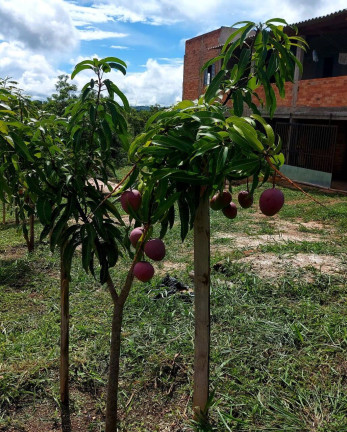 Imagem Chácara com 3 Quartos à Venda, 240 m² em Zona Rural - Goiânia