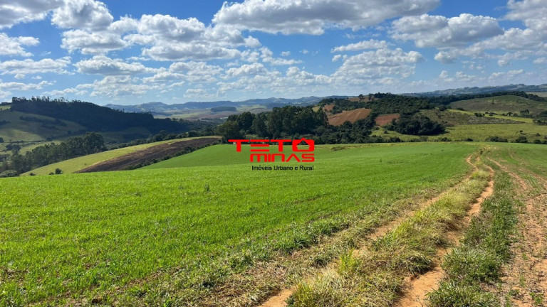 Imagem Imóvel à Venda, em Zona Rural De Zona Rural De Ipuiuna - São Lourenço Imagem Imóvel à Venda, em Zona Rural De Zona Rural De Ipuiuna - São Lourenço