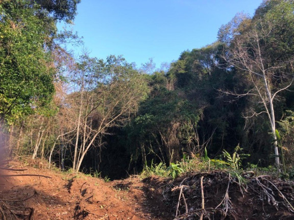Imagem Terreno à Venda, 3 m² em Rua São José Do Cai - Nova Petrópolis Imagem Terreno à Venda, 3 m² em Rua São José Do Cai - Nova Petrópolis