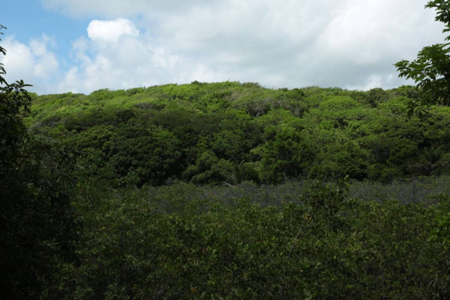 Imagem Terreno à Venda, 19 m² em Barra Do Cunhaú - Canguaretama