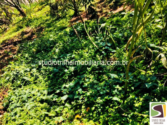 Imagem Imóvel com 3 Quartos à Venda, em Jardim Santa Hermínia - São José Dos Campos Imagem Imóvel com 3 Quartos à Venda, em Jardim Santa Hermínia - São José Dos Campos