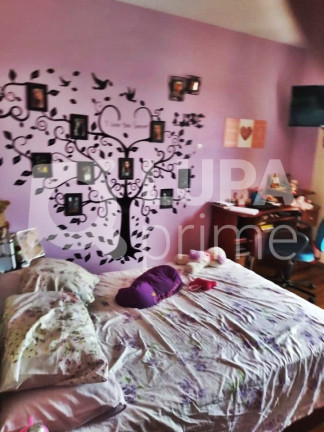Imagem Casa com 3 Quartos à Venda, 222 m² em Vila Nova Mazzei - São Paulo Imagem Casa com 3 Quartos à Venda, 222 m² em Vila Nova Mazzei - São Paulo