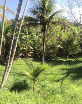Imagem Fazenda à Venda, 15.000 m² em Bonsucesso - Saquarema Imagem Fazenda à Venda, 15.000 m² em Bonsucesso - Saquarema