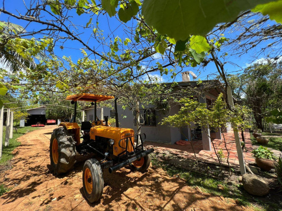 Imagem Chácara à Venda, 5 m² em Fiuza - Viamão Imagem Chácara à Venda, 5 m² em Fiuza - Viamão