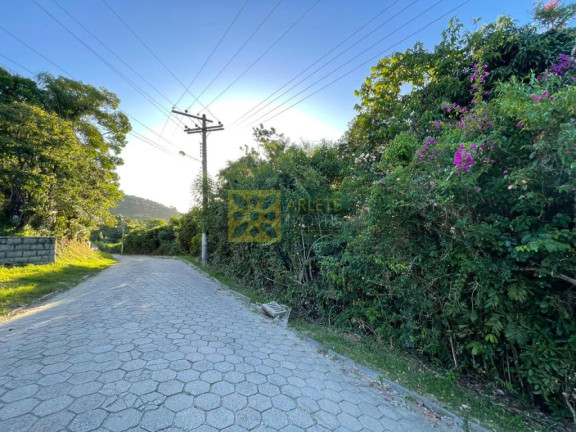Imagem Terreno à Venda, 3.354 m² em Araça - Porto Belo Imagem Terreno à Venda, 3.354 m² em Araça - Porto Belo