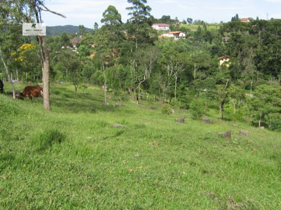 Imagem Chácara à Venda, 11.280 m² em Alto Da Serra - São Roque Imagem Chácara à Venda, 11.280 m² em Alto Da Serra - São Roque