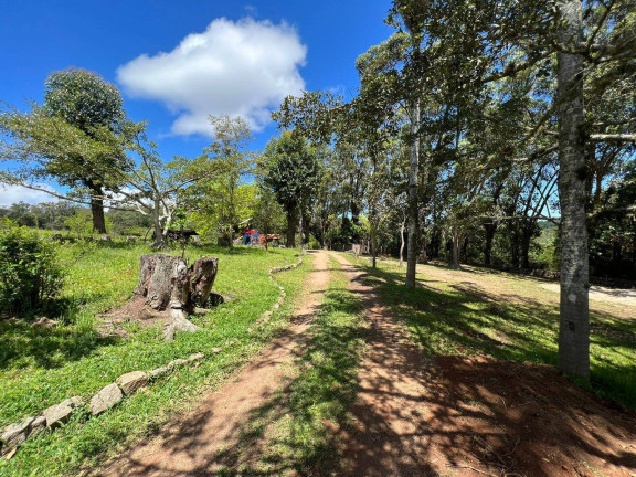 Imagem Chácara à Venda, 5 m² em Fiuza - Viamão Imagem Chácara à Venda, 5 m² em Fiuza - Viamão