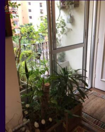 Imagem Apartamento com 3 Quartos à Venda, 110 m² em Moema - São Paulo Imagem Apartamento com 3 Quartos à Venda, 110 m² em Moema - São Paulo