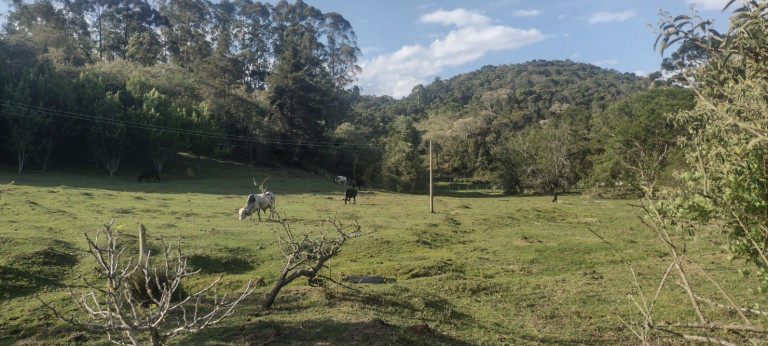 Imagem Chácara com 4 Quartos à Venda, em Retiro - Cunha Imagem Chácara com 4 Quartos à Venda, em Retiro - Cunha