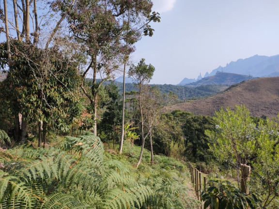 Imagem Terreno à Venda, 433 m² em Prata - Teresópolis Imagem Terreno à Venda, 433 m² em Prata - Teresópolis
