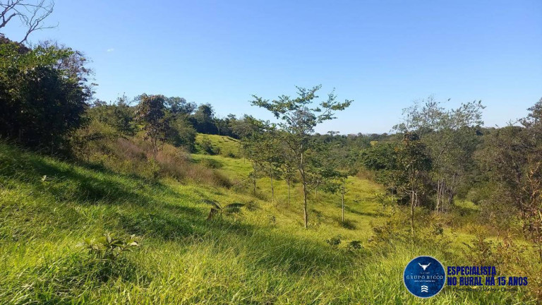 Fazenda à Venda, 40 m² em Zona Rural - Itaberaí