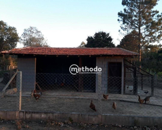 Imagem Fazenda à Venda, 500 m² em Chácara São José - Jaguariúna Imagem Fazenda à Venda, 500 m² em Chácara São José - Jaguariúna