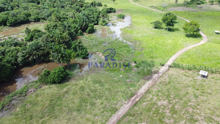 Imagem Fazenda à Venda, 9.750.000 m² em Zona Rural - Itanagra