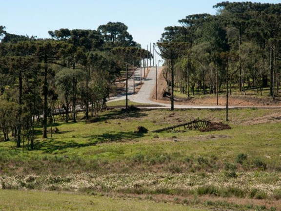 Imagem Imóvel com 3 Quartos à Venda, 288 m² em Centro - Canela Imagem Imóvel com 3 Quartos à Venda, 288 m² em Centro - Canela