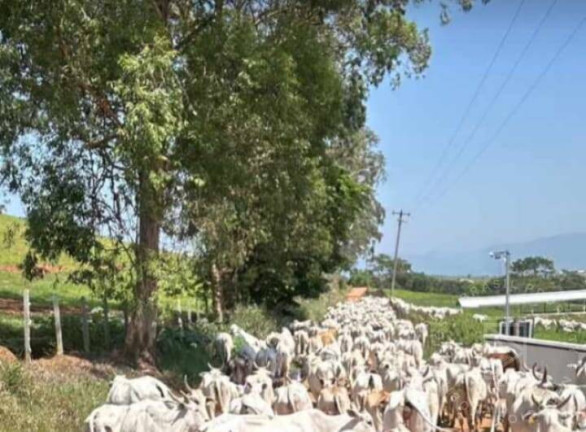 Imagem Fazenda à Venda, 259 m² em Centro - Lorena Imagem Fazenda à Venda, 259 m² em Centro - Lorena