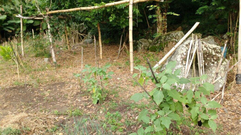 Imagem Terreno à Venda, 1 m² em Vargem Pequena - Florianópolis Imagem Terreno à Venda, 1 m² em Vargem Pequena - Florianópolis