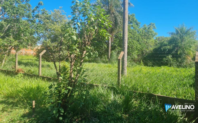 Imagem Casa com 1 Quarto à Venda, 10.500 m² em Vila São Jorge Da Lagoa - Campo Grande Imagem Casa com 1 Quarto à Venda, 10.500 m² em Vila São Jorge Da Lagoa - Campo Grande