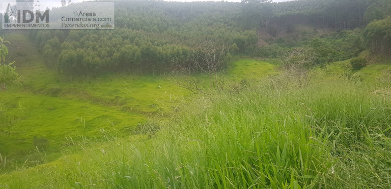 Imagem Chácara à Venda, 768 m² em Paraibuna Imagem Chácara à Venda, 768 m² em Paraibuna