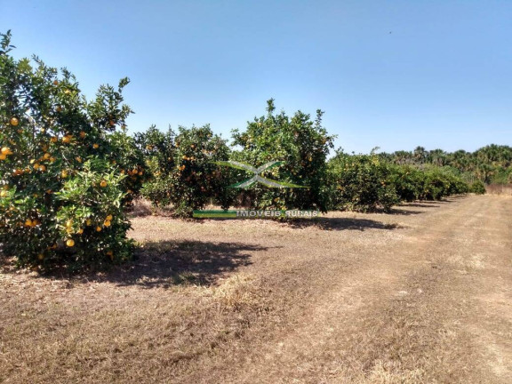 Imagem Fazenda à Venda, 26 m² em Monte Alegre De Minas Imagem Fazenda à Venda, 26 m² em Monte Alegre De Minas