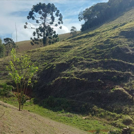 Imagem Chácara com 2 Quartos à Venda, 24.200 m² em Bom Repouso