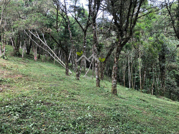 Terreno à Venda, 3 m² em Vila Inglesa - Campos Do Jordão