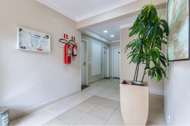 Imagem Imóvel com 2 Quartos à Venda, 40 m² em Vila Zat - São Paulo