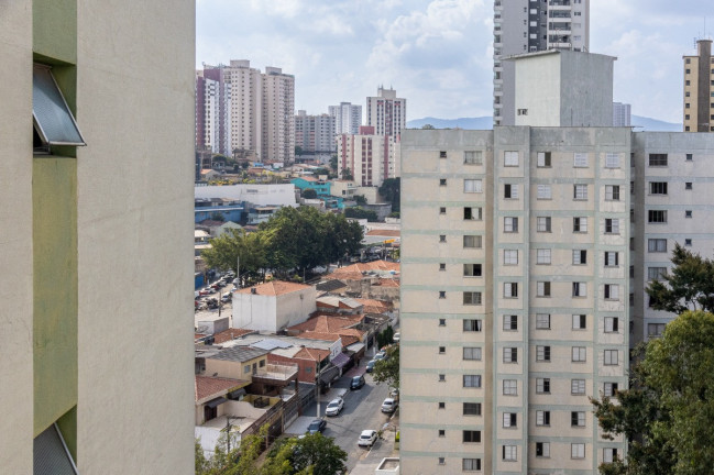 Imagem Apartamento com 3 Quartos à Venda, 63 m² em Vila Albertina - São Paulo