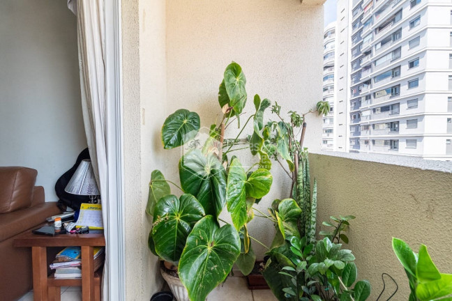 Imagem Apartamento com 2 Quartos à Venda, 63 m² em Vila Guarani (z Sul) - São Paulo