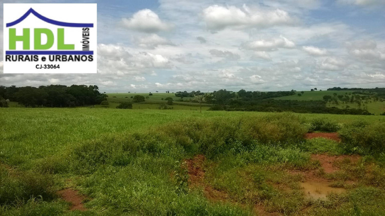Imagem Fazenda à Venda, 38 m² em Zona Rural - Piracanjuba Imagem Fazenda à Venda, 38 m² em Zona Rural - Piracanjuba