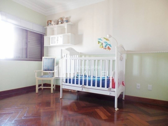 Imagem Cobertura com 5 Quartos à Venda, 440 m² em Cambuí - Campinas Imagem Cobertura com 5 Quartos à Venda, 440 m² em Cambuí - Campinas