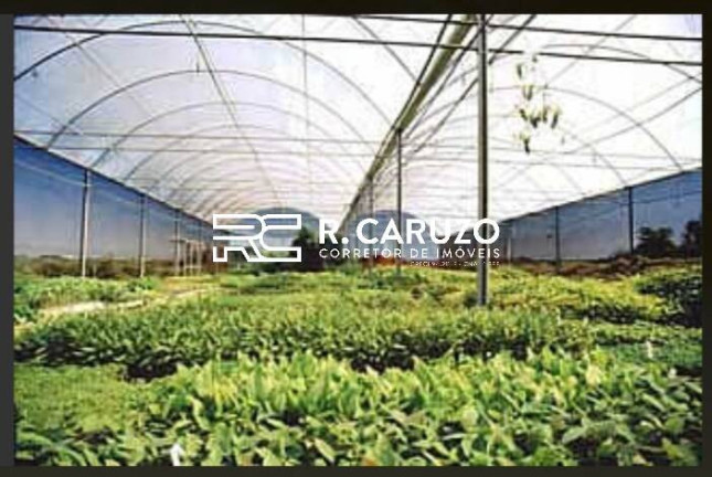 Imagem Chácara à Venda, 40 m² em Limeira Imagem Chácara à Venda, 40 m² em Limeira