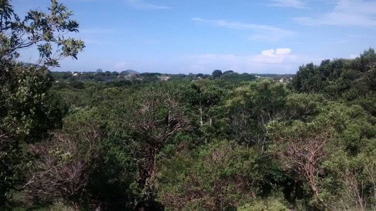 Imagem Chácara à Venda, 4.800 m² em São João Do Rio Vermelho - Florianópolis Imagem Chácara à Venda, 4.800 m² em São João Do Rio Vermelho - Florianópolis