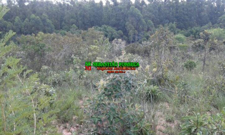 Imagem Terreno à Venda, 15.825 m² em Jardim Santa Júlia - São José Dos Campos Imagem Terreno à Venda, 15.825 m² em Jardim Santa Júlia - São José Dos Campos