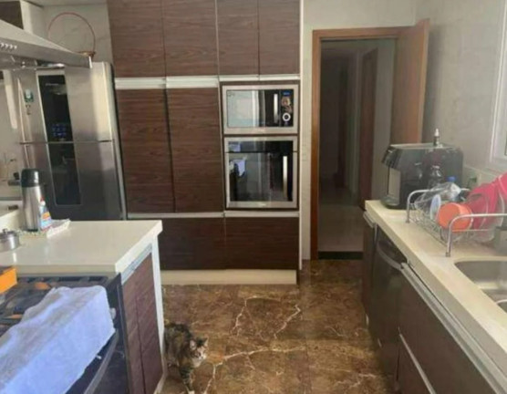 Imagem Apartamento com 3 Quartos à Venda, 173 m² em Chácara Flora - São Paulo Imagem Apartamento com 3 Quartos à Venda, 173 m² em Chácara Flora - São Paulo