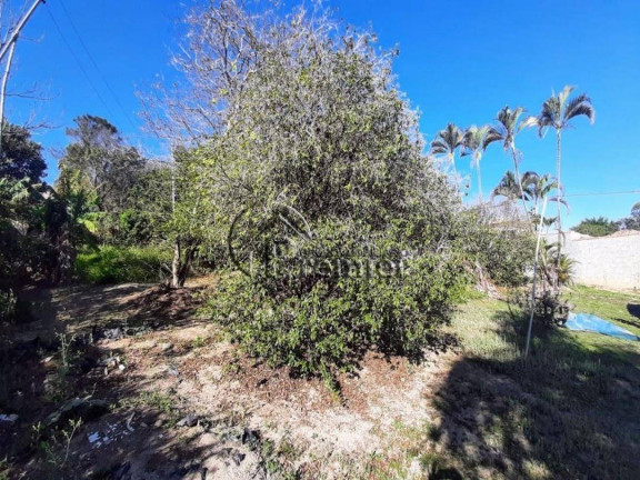 Imagem Chácara à Venda, 2.000 m² em Terras De Itaici - Indaiatuba