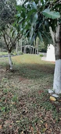 Imagem Chácara com 3 Quartos à Venda, 31.000 m² em Centro - Tamarana